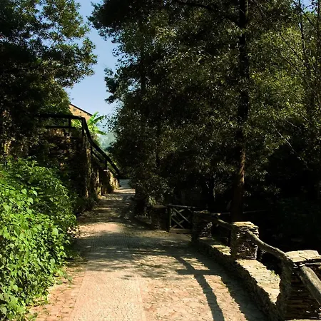 Quinta Dos Moinhos * Melres